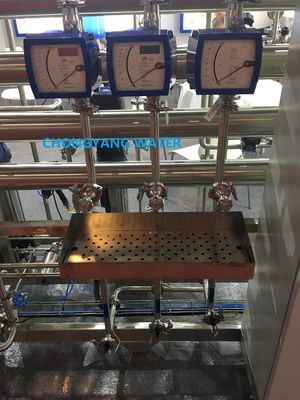 Système d'eau pharmaceutique Système d'eau purifiée pour pharmaceutique avec DQ IQ OQ FAT SAT